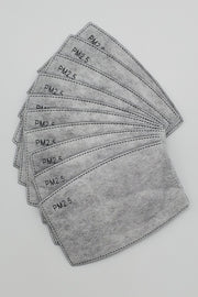 PM2.5 Filters (10-pack)