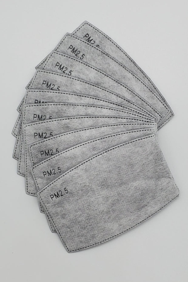 PM2.5 Filters (10-pack)