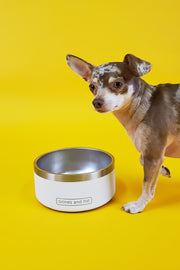 2-Bowl Gift Pack - The Love Bowl (choose colors)