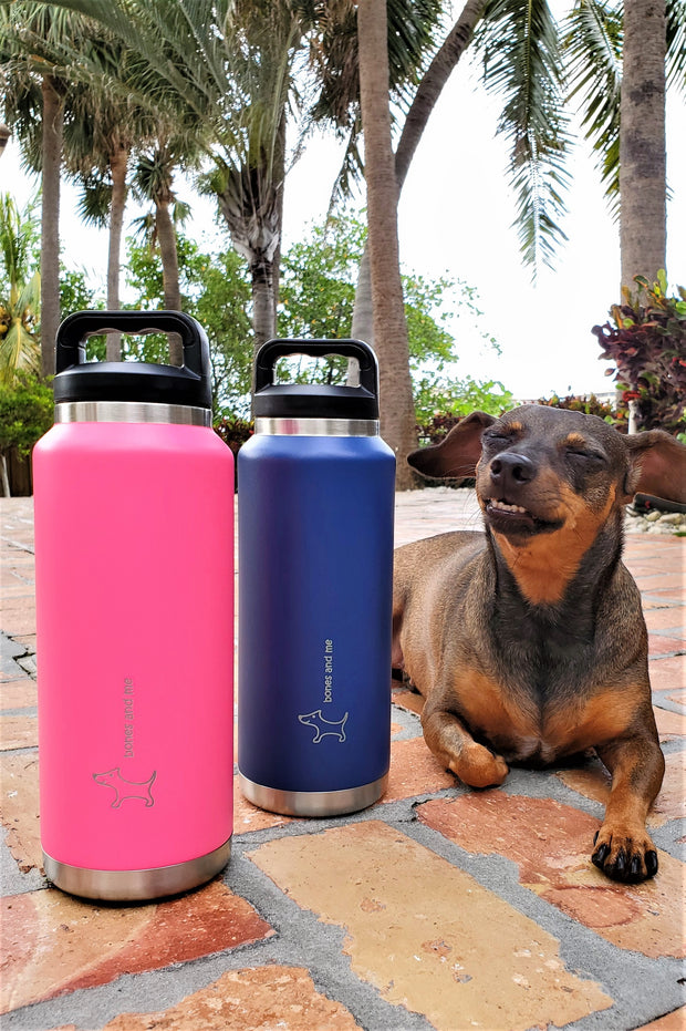 Twin-Pack Mastiff 36oz Bottles with Screw Cap