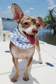 BOMBER 4x4 (White/Pink/Blue)