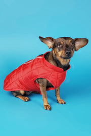 The K2 Vest (2 colors)