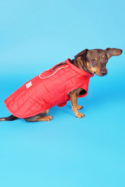 The K2 Vest (2 colors)