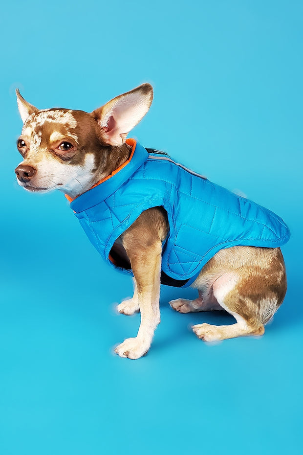 The K2 Vest (2 colors)