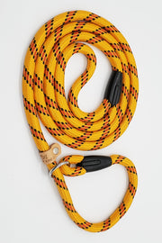 The Slip-On Leash