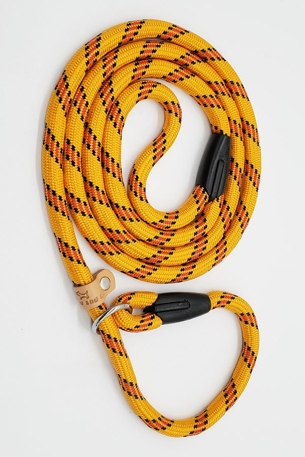The Slip-On Leash